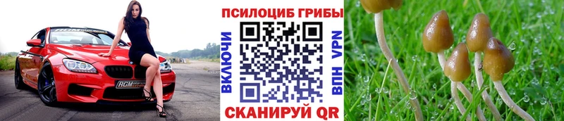 купить   Игра  Галлюциногенные грибы мухоморы 